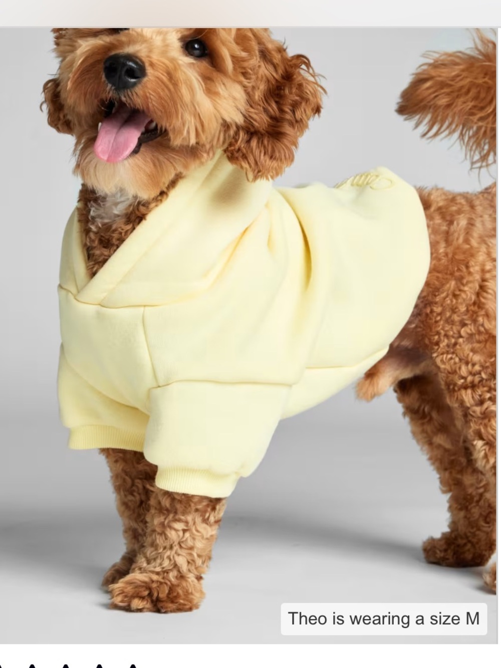 🧈 Buttercream Soft Comfrt Dog Hoodie SZL/NEW